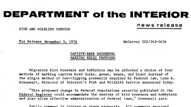 Captive-Bred Waterfowl Marking Rules Proposed November 3, 1974