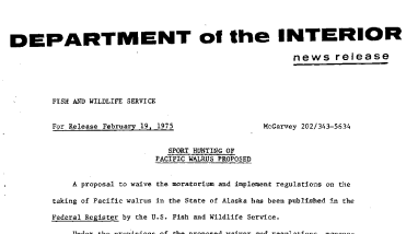 Sport Hunting of Pacific Walrus Proposed February 19, 1975