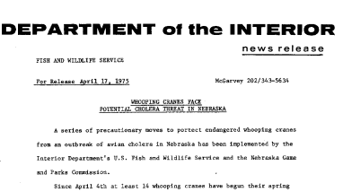 Whooping Cranes Face Potential Cholera Threat in Nebraska April 17, 1975