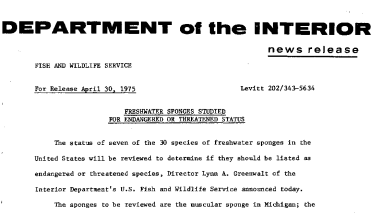 Freshwater Sponges Studied for Endangered or Threatened Status April 30, 1975