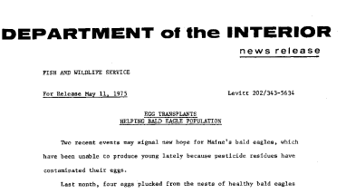 Egg Transplants Helping Bald Eagle Population May 11, 1975