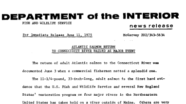 Atlantic Salmon Return to Connecticut River Hailed As-Major Event June 11, 1975