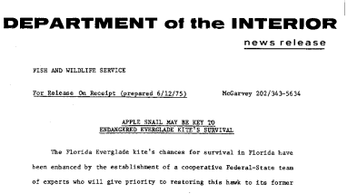 Apple Snail May Be Key to Endangered Everglade Kite's Survival June 12, 1975