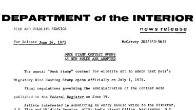Duck Stamp Contest Opens as New Rules Are Adopted June 24, 1975