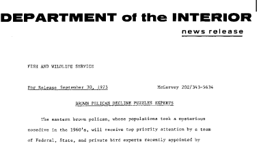 Brown Pelican Decline Puzzles Experts September 30, 1975