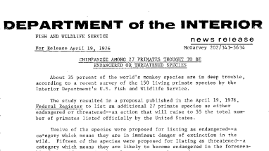 Chimpanzee Among 27 Primates Thought to Be Endangered or Threatened Species April 19, 1976