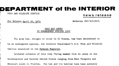 Gray Bat Added to Endangered Species List April 30, 1976