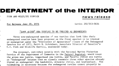 "Look Alike" Sea Turtles to Be Treated as Endangered June 18, 1976