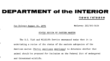 Status Review of Eastern Marten August 31, 1976