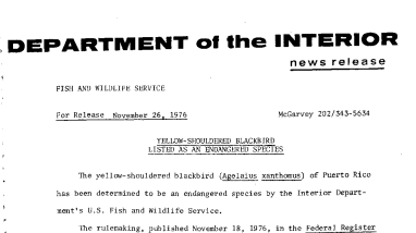 Yellow-Shouldered Blackbird Listed as an Endangered Species November 26, 1976