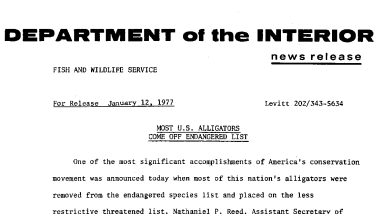 Most U.S. Alligators Come off Endangered List January 12, 1977