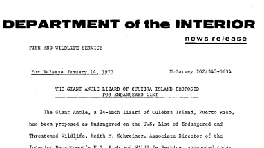 The Giant Anole Lizard of Culebe!a Island Proposed for Endangered List January 14, 1977