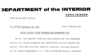 Virgin Island Lizard Proposed for Endangered List February 22, 1977