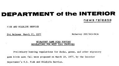 Migratory Game Bird Hunting Regulations for Next Fall Proposed March 17, 1977