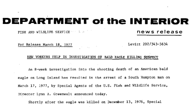 New Yorkers Help in Investigation 0f Bald Eagle Killing Suspect March 18, 1977