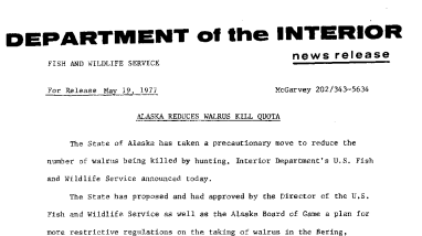 Alaska Reduces Walrus Kill Quota May 19, 1977
