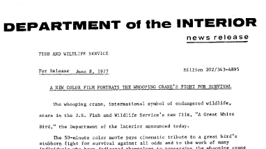 A New Color Film Portrays the Whooping Crane's Fight for Survival June 8, 1977