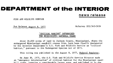 "Critical Habitat" Determined for Mississippi Sandhill Crane August 8, 1977