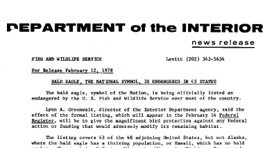 Bald Eagle, the National Symbol, Is Endangered in 43 States February 12, 1978