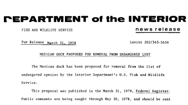 Mexican Duck Proposed for Removal From Endangered List March 31, 1978
