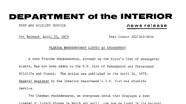 Florida Rhododendron Listed as Endangered Apri 25, 1979