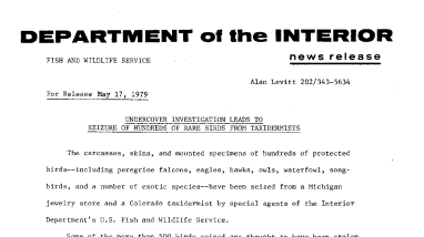 Undercover Investigation Leads to Seizure of Hundreds of Rare Birds From Taxidermists May 17, 1979