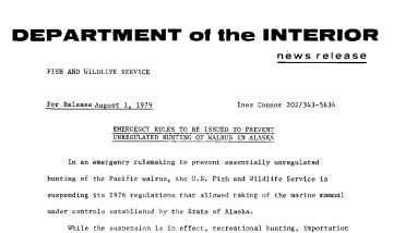 Emergency Rules to Be Issued to Prevent Unregulated Hunting of Walrus in Alaska August 1, 1979