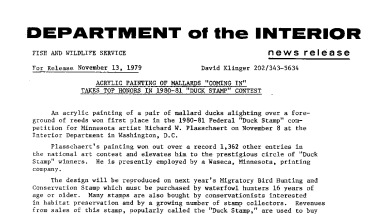 Acrylic Painting of Mallards "Coming In" Takes Top Honors in 1980-81 "Duck Stamp" Contest November 13, 1979