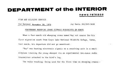 Southbound Whooping Crane Signals Biologists En Route November 18, 1979