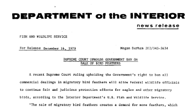 Supreme Court Upholds Government Ban on Sale of Bird Feathers December 14, 1979