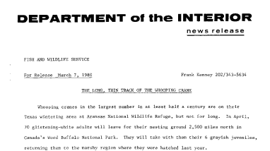 The Long, Thin Track of the Whooping Crane March 7, 1980