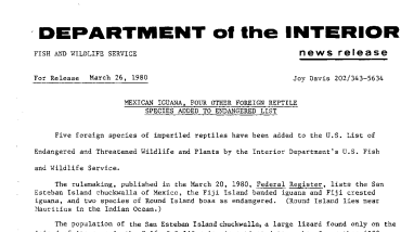 Mexican Iguana, Four Other Foreign Reptile Species Added to Endangered List March 25, 1980