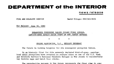 Endangered Peregrine Falcon Clears Final Hurdle--Captive-Bred Adults Hatch Young on New Jersey Refuges June 30, 1980