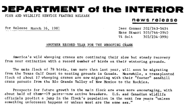 Another Record Year for the Whooping Crane March 16, 1981