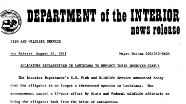 Alligators Reclassified in Louisiana to Reflect Their Improvred Status August 13, 1981