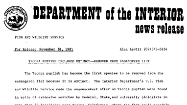 Tecopa Pupfish Declared Extinct--Removed From Endangered List November 18, 1981