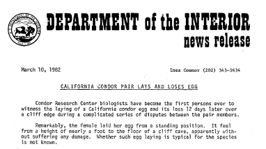 California Condor Pair Lays and Loses Egg March 10, 1982