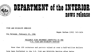 Valuable Bird Shipment Forfeited to the U.S. Fish and Wildlife Service February 29, 1984