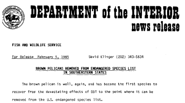 Brown Pelicans Removed From Endangered Species List in Southeatern States February 5, 1985
