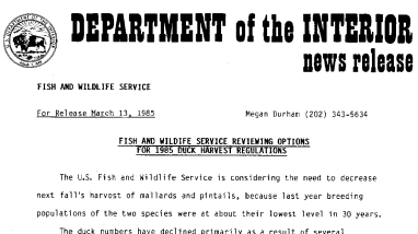 Fish and Wildife Service Reviewing Options for 1985 Duck Harvest Regulations March 13, 1985