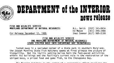 Fish and Wildlife Service and Maryland Department of Natuarl Resources Stock Striped Bass Into Chesapeake Bay Tributaries December 12, 1985