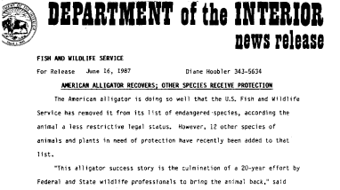 American Alligator Recovers; Other Species Receive Protection June 16, 1987