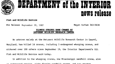 Illness Strikes Rare Cranes at Patuxent Wildlife Research Center September 30, 1987