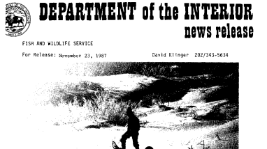 It's Beginning to Look A Lot Like Christmas! Fish and Wildlife Service Can Help You "Deck the Halls" With Gifts of Nature November 23, 1987