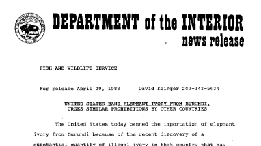United States Bans Elephant Ivory From Burundi, Urges Similar Prohibitions by Other Countries April 29, 1988