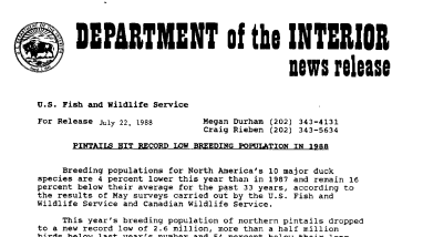 Pintails Hit Record Low Breeding Population in 1988 July 22, 1988