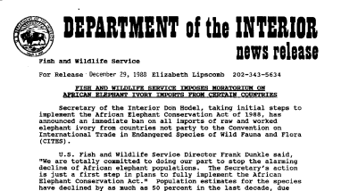 Fish and Wildlife Service Imposes Moratorium on African Elephant Ivory Imprts From Certain Countries December 29, 1988