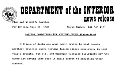 Habitat Conditions for Nesting Ducks Remain Poor June 21, 1989