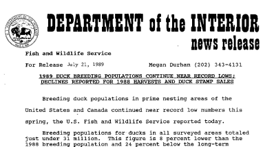 1989 Duck Breeding Populations Continue Near Record Lows; Declines Reported for 1988 Harvests and Duck Stamp Sales July 21, 1989