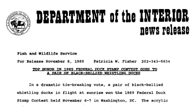 Top Honor in 1989 Federal Duck Stamp Contest Goes to A Pair of Black-Bellied Whistling Ducks November 8, 1989